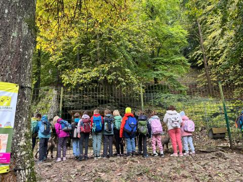 Waldwandertag im Wildpark Hundshaupten